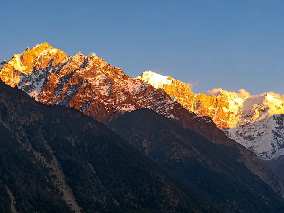 Golden sunrise alpenglow illuminating jagged snow-capped mountain peaks rising above dark pine-forested slopes.